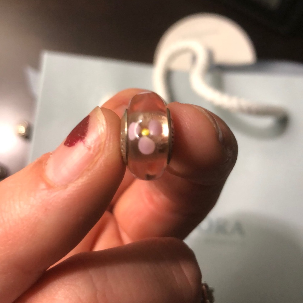 Pandora Charm (retired)